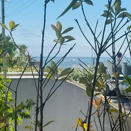 Location Maison Les Pieds Dans L'eau - 8 Personnes Holiday home Arcachon